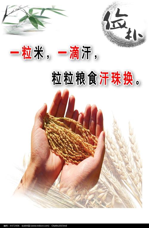 办理凯尔文学院学位证